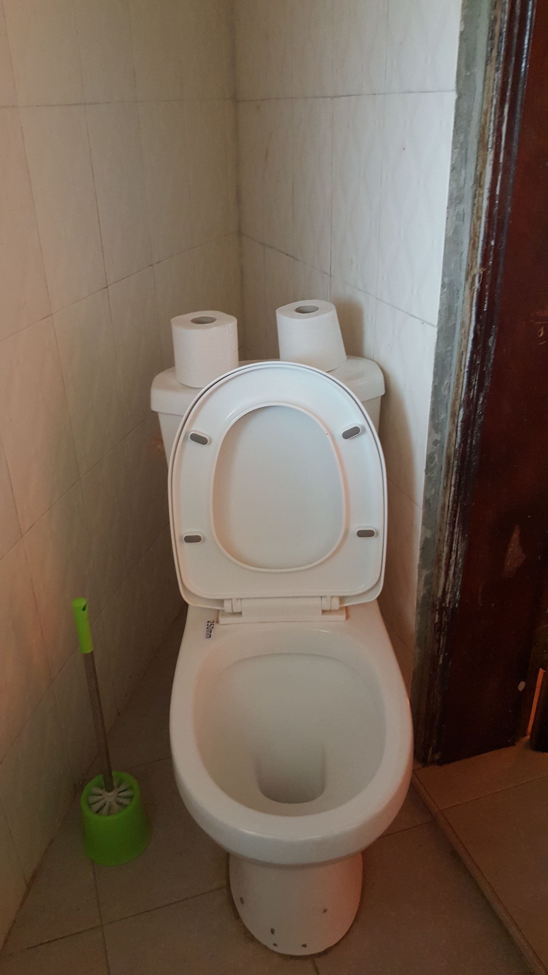 Des toilettes avec un abattant et un couvercle blancs, une serpillière verte et plusieurs rouleaux de papier toilette.