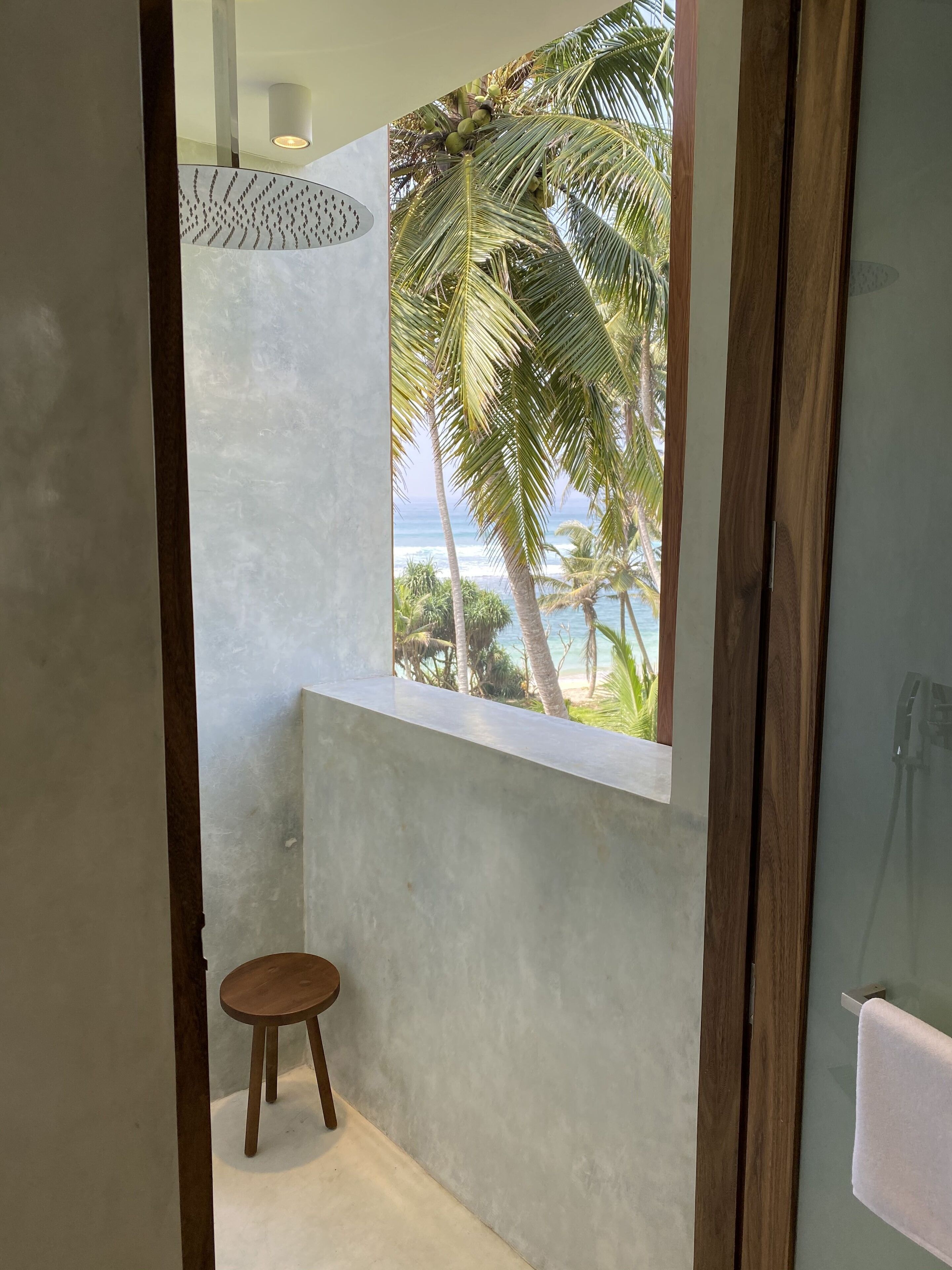 A bathroom with a view of palm trees and the ocean.