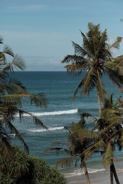 Harding Boutique Hotel