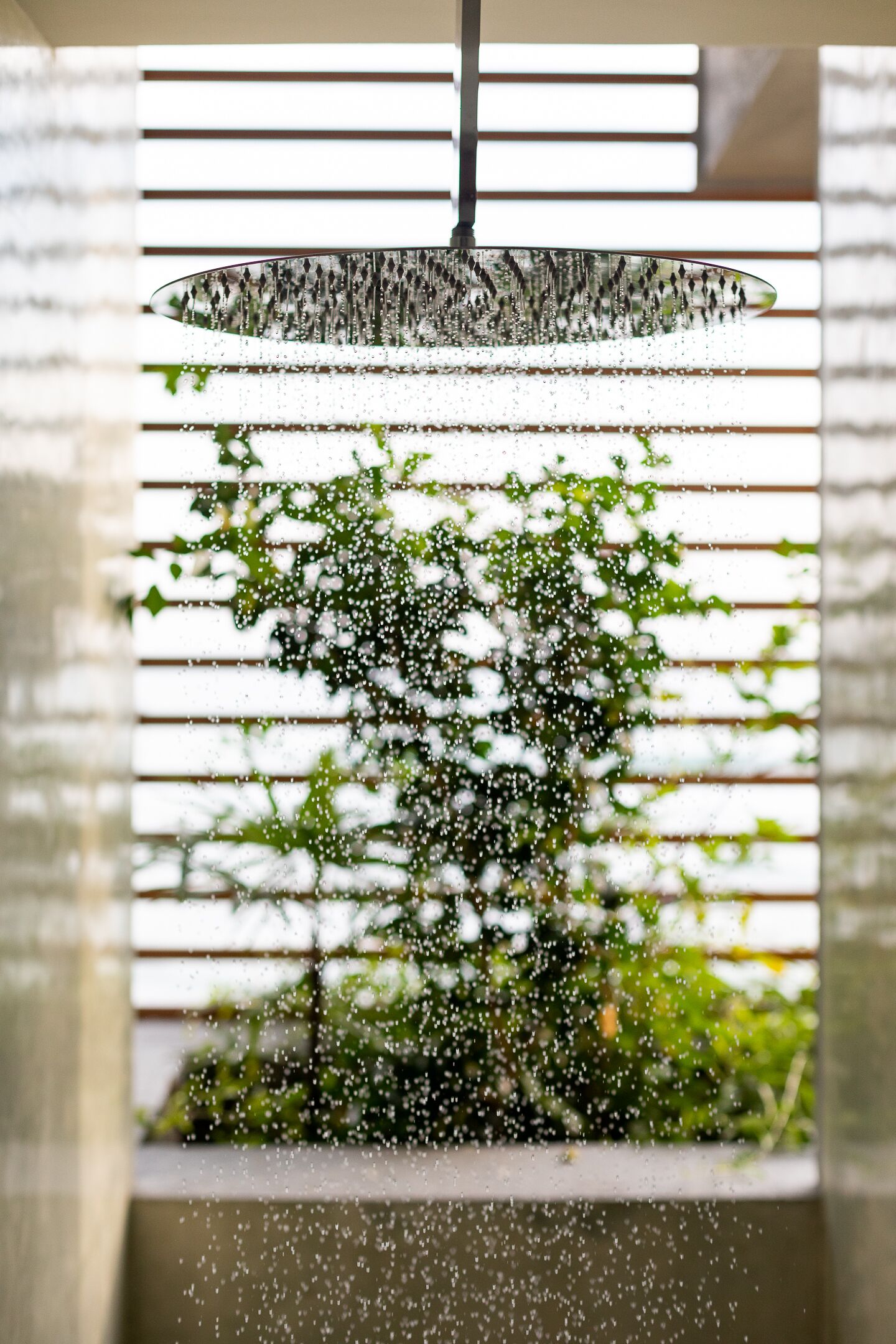 Kattoon asennettu sprinklerijärjestelmä, joka kastelee vihreää kasvia.