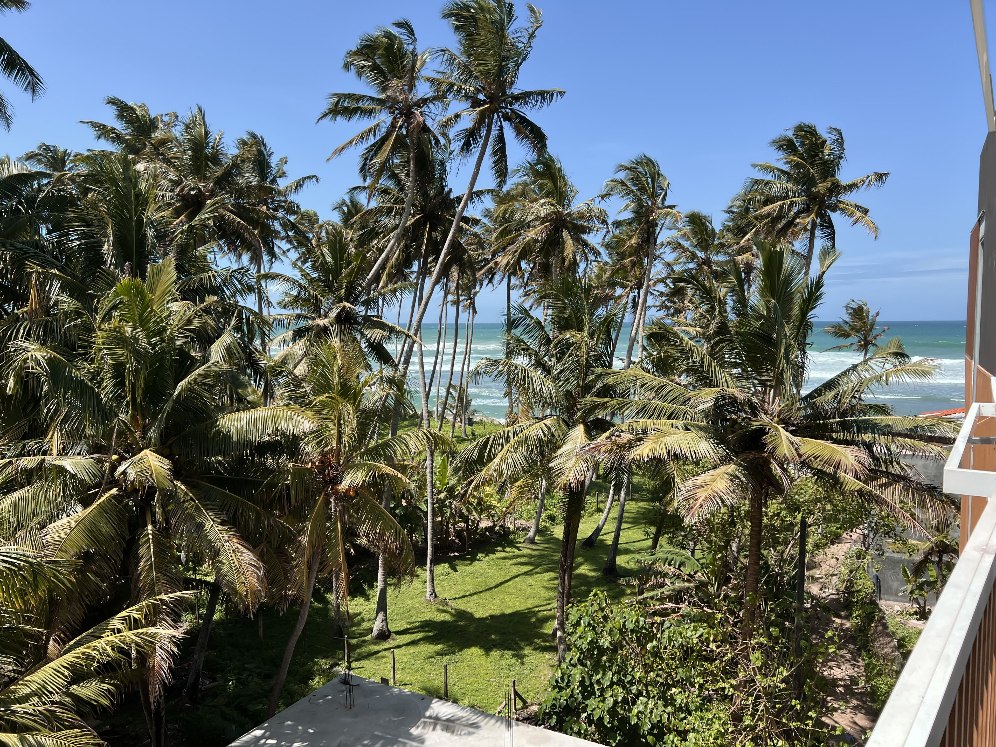 A view of a lush garden with palm trees and a grassy area, leading to a beach with waves.