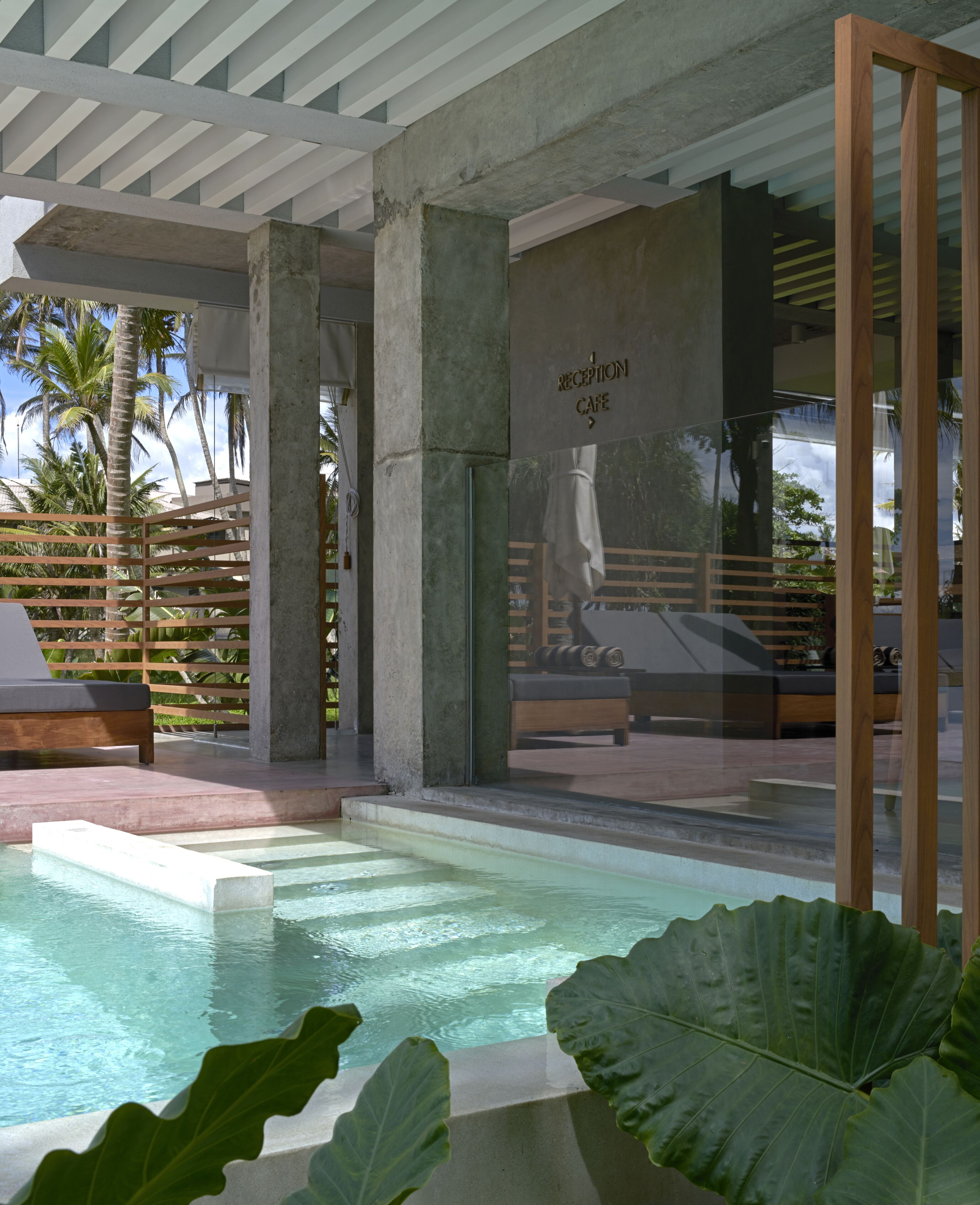 Outdoor pool, pool umbrellas, pool loungers