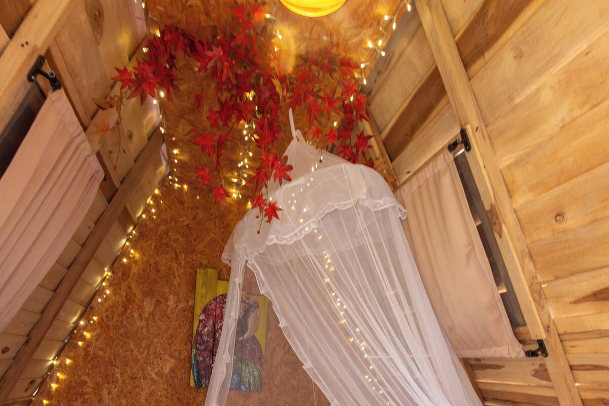 Una habitación acogedora con cama bajo un dosel, paredes de madera y luces de cuerda.