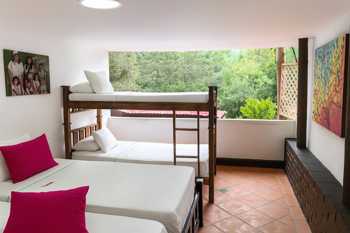 Una habitación con literas, una ventana con vista a follaje y un cuadro en la pared.