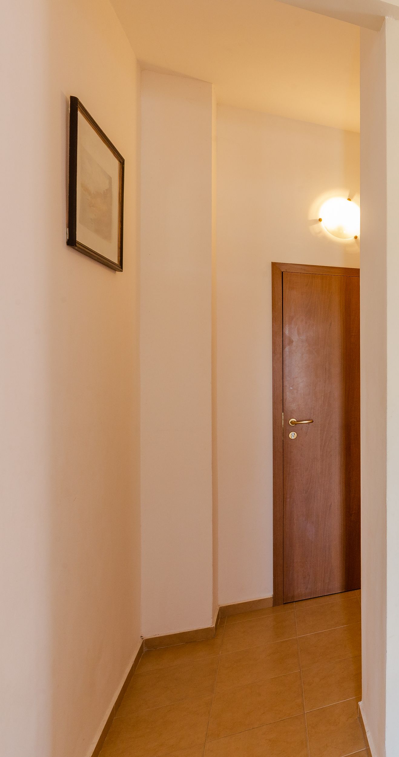 A narrow hallway with a wooden door and a framed picture on the wall.