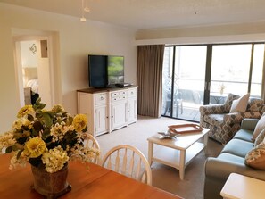 TV, DVD player, video library, stereo
