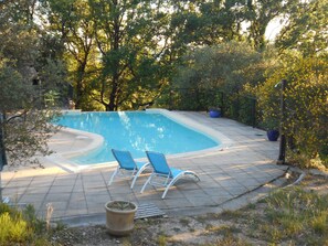 A swimming pool with two lounge chairs and a potted plant. - Chant garrigue / rosemary (COLLORGUES)