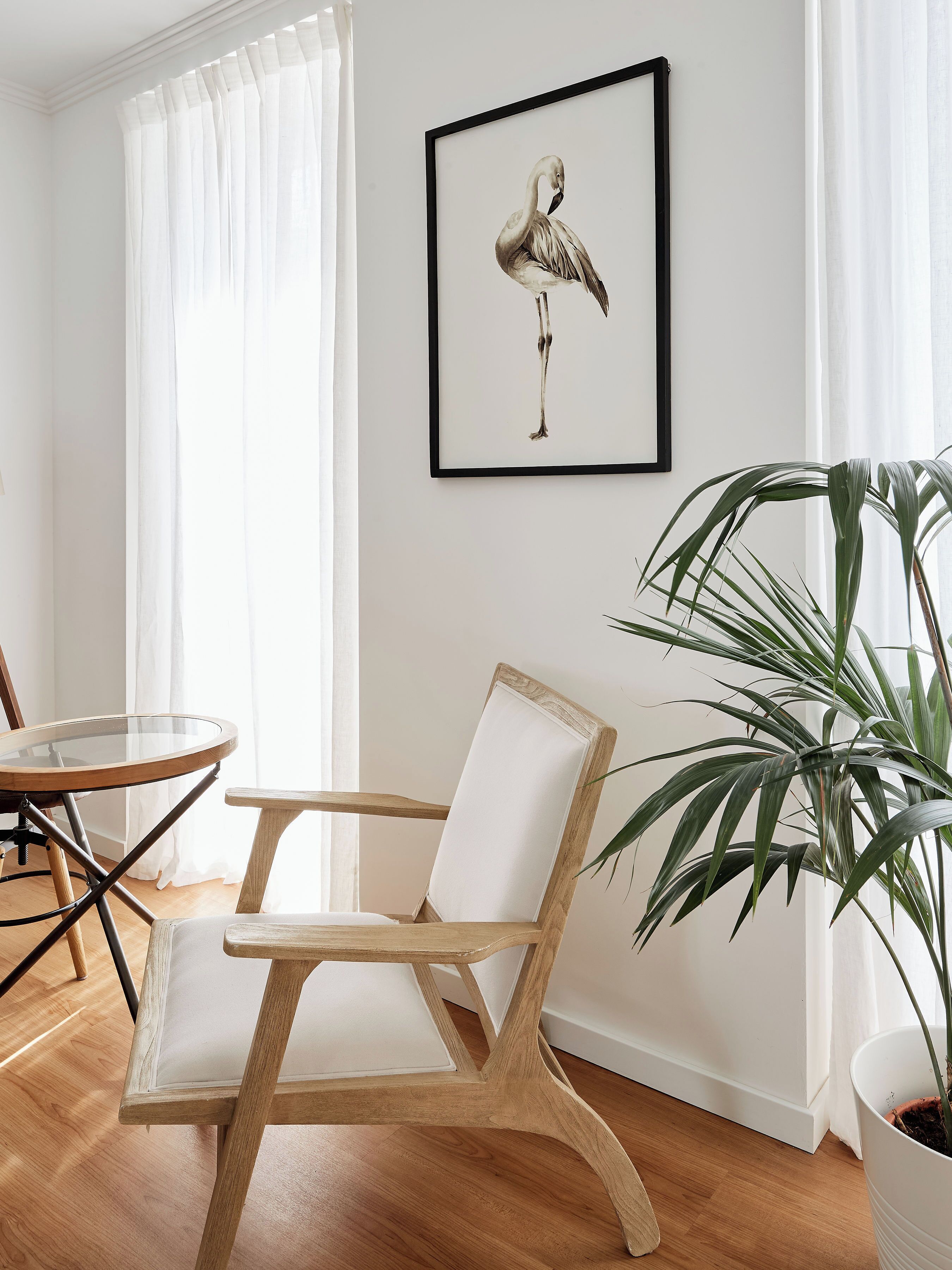 Foto - Casa Apollo Guesthouse