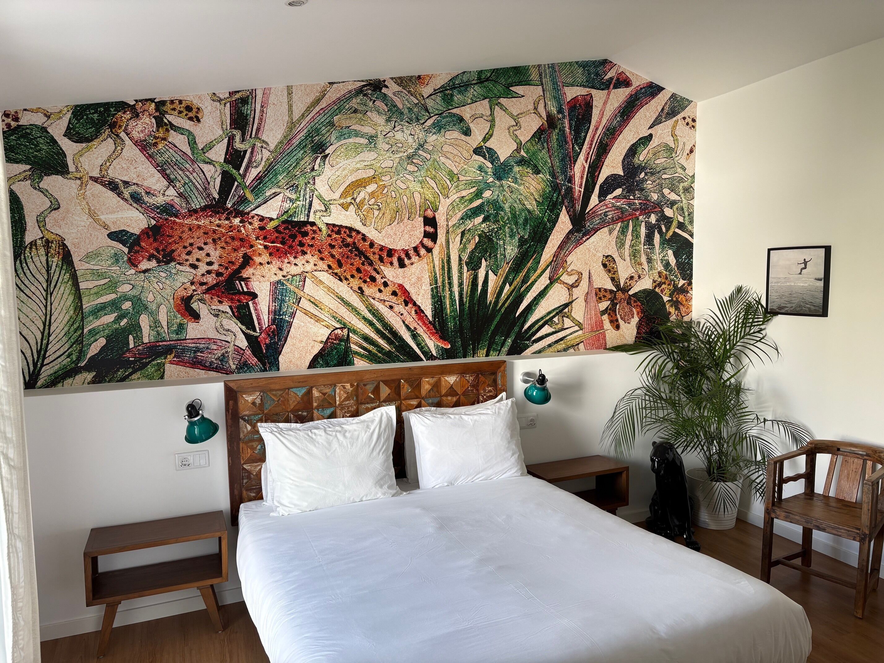 Photo - Casa Apollo Guesthouse
