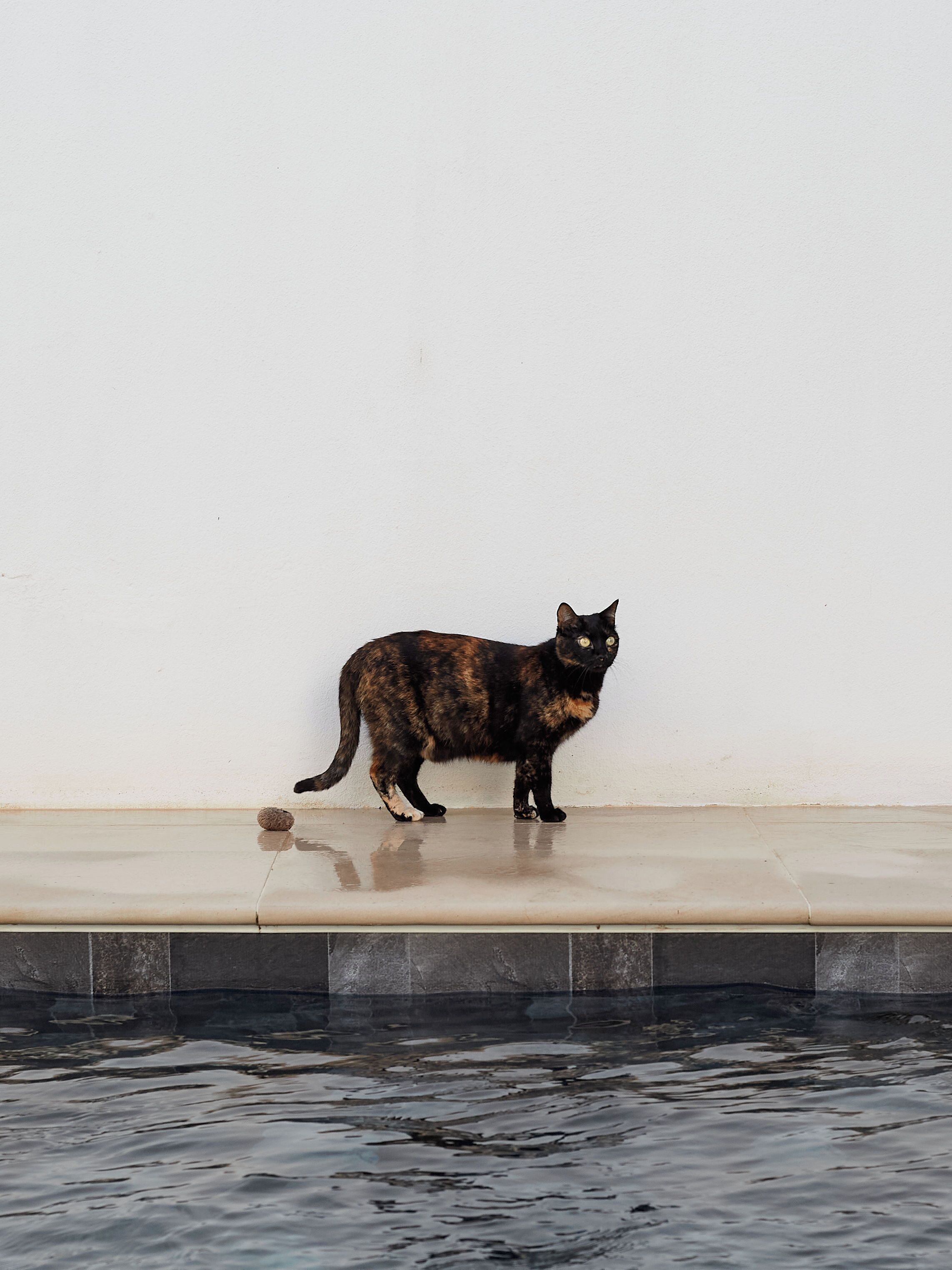 Foto - Casa Apollo Guesthouse