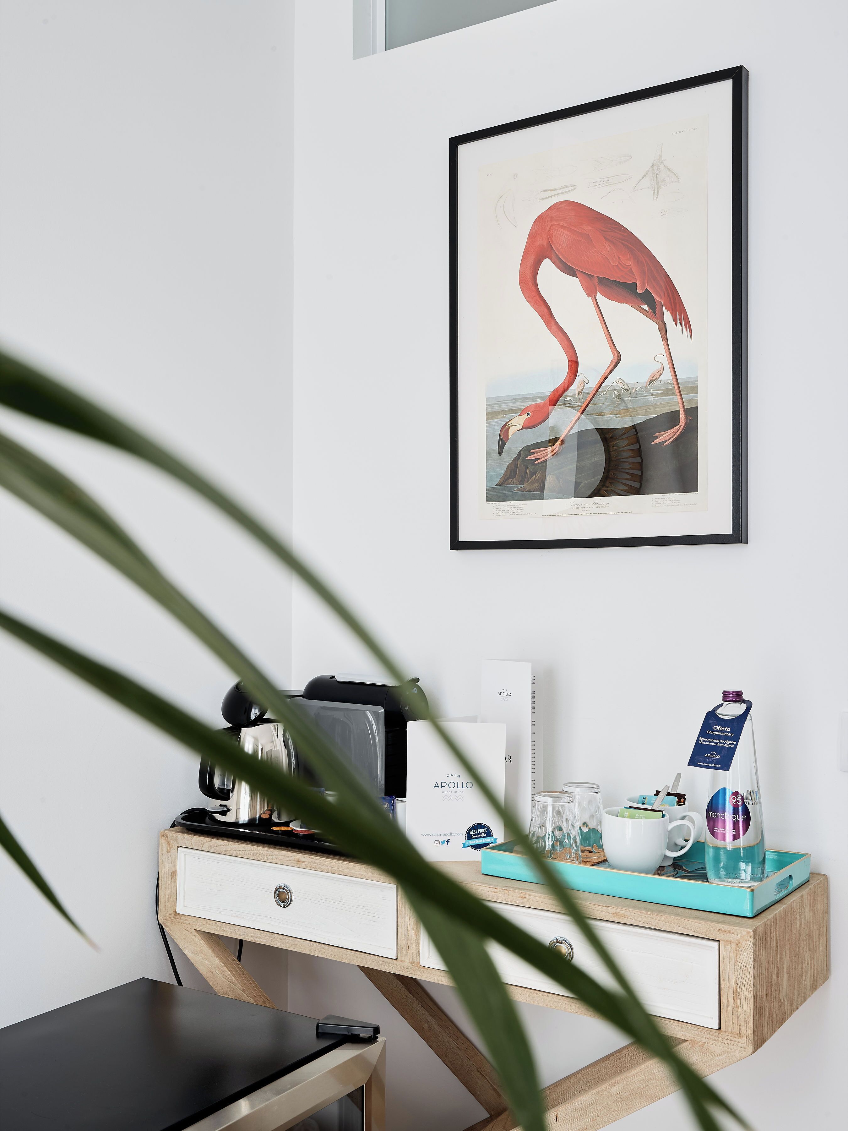 Foto - Casa Apollo Guesthouse