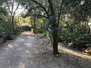 Property grounds - Cozy small house in the jungle, Casita. (Puerto Aventuras)