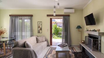 TV, fireplace, books