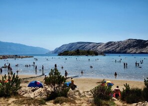 بالقرب من الشاطئ