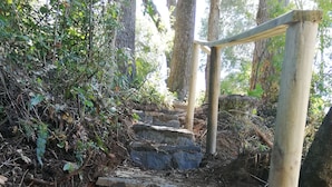 Una serie de escalones de piedra que suben hacia una zona boscosa, con barandilla de madera.