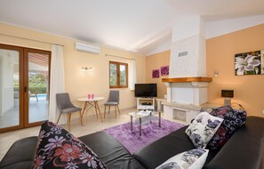TV, fireplace, DVD player