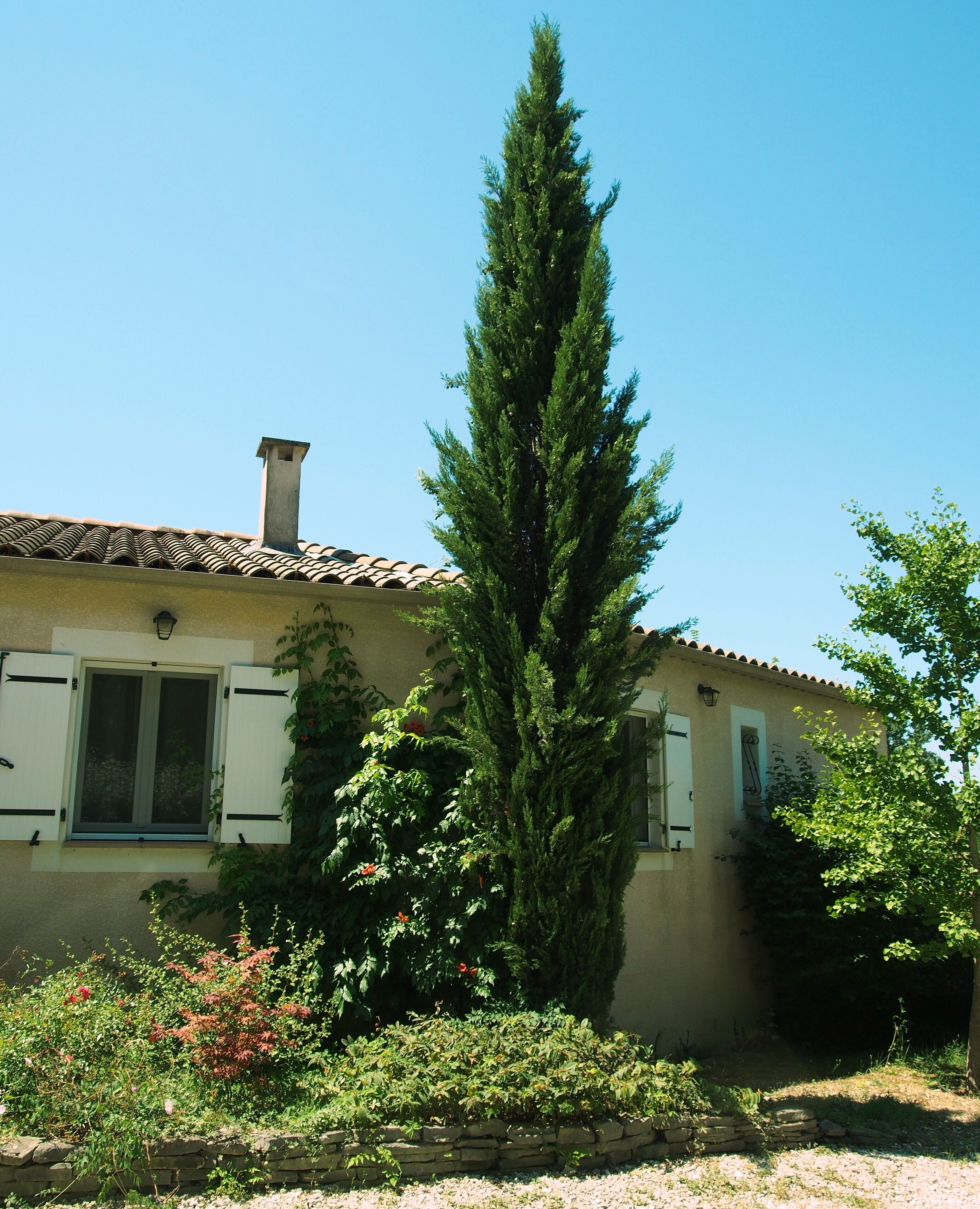 Una casa con techo de tejas, chimenea y ventana con contraventanas.