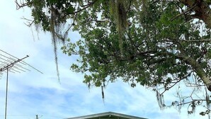 A single-story house with a covered porch, a front lawn, and a mailbox. - Waterfront property! (Welaka)