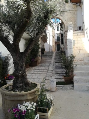 Jardines del alojamiento