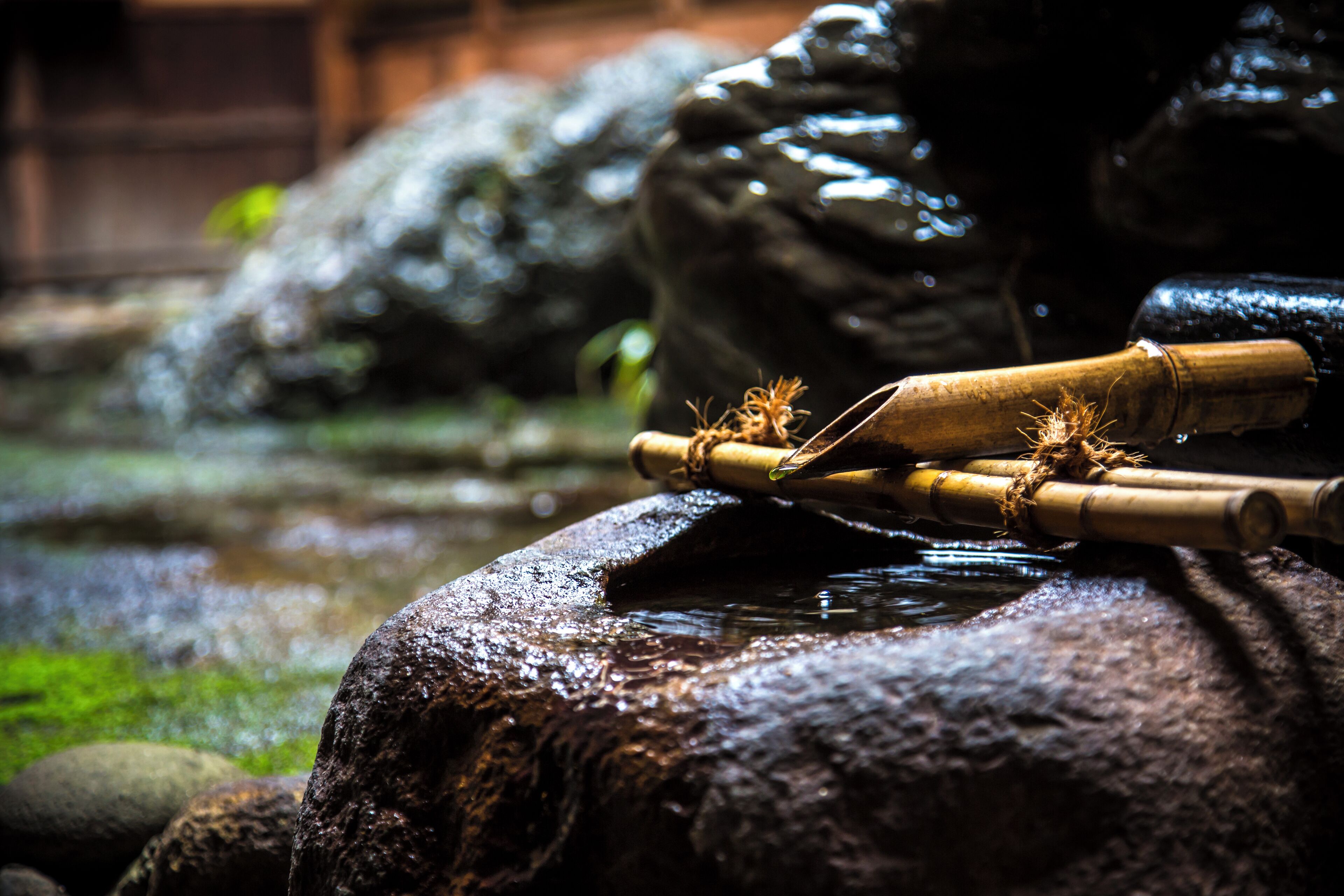 A stone fountain with bamboo and a statue in the background.