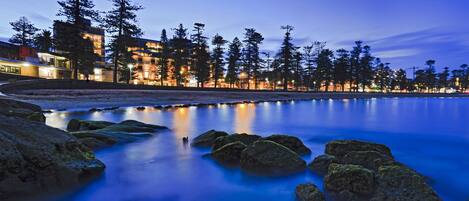A coastal area with a rocky shoreline, trees, and buildings in the background.