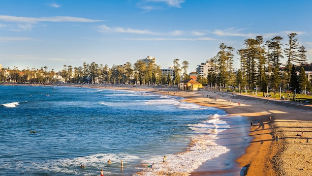 A beach with waves, a sandy shore, and tall trees. - Lotus Stay Manly Apartment 29B (Manly)