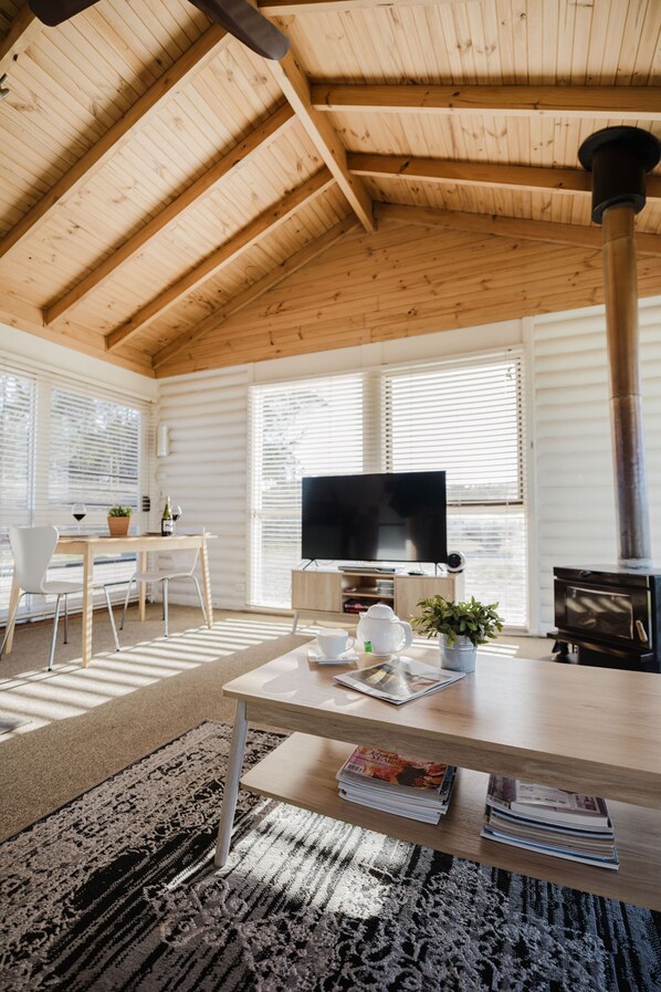 TV connectée, cheminée, lecteur de DVD, livres