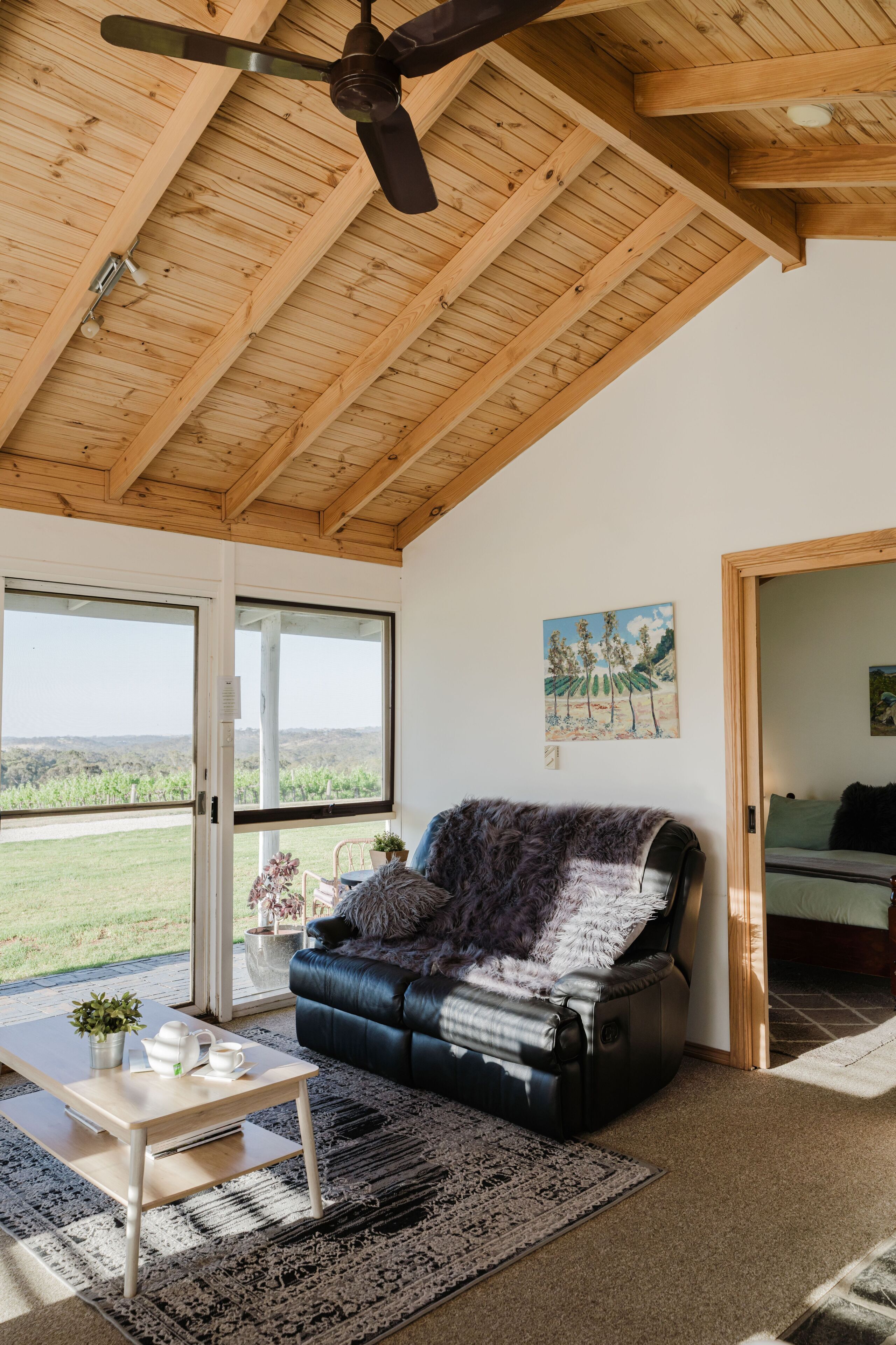 Smart TV, fireplace, DVD player, books