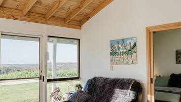 Smart TV, fireplace, DVD player, books