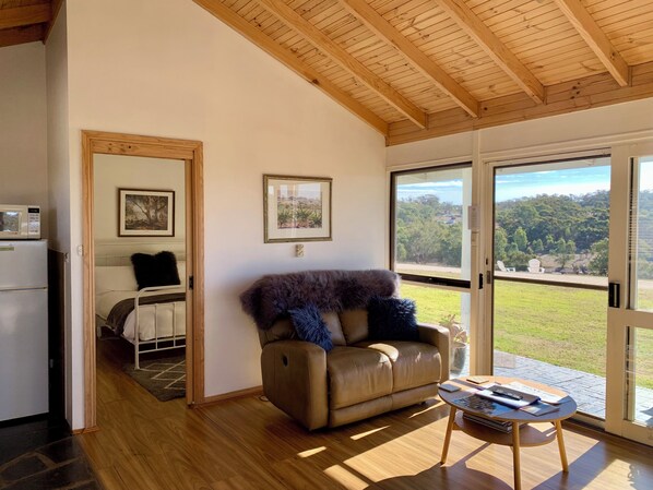 Smart TV, fireplace, DVD player, books