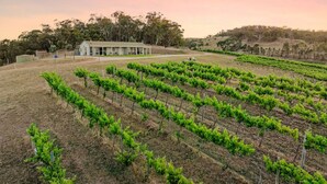 Ein Weinberg mit Rebenzeilen, ein Gebäude mit Veranda und eine hügelige Landschaft mit Bäumen im Hintergrund.