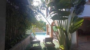Un espace piscine aménagé avec des chaises longues et des plantes tropicales.