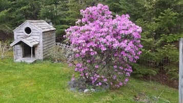 Terrein van de accommodatie