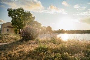 A coastal property with a building, a tree, and a beach with sunbathers. - Frangiskos Ena: Private Apt, shared pool. WiFi, A/C, close to the sea. (Saint Spyridon)