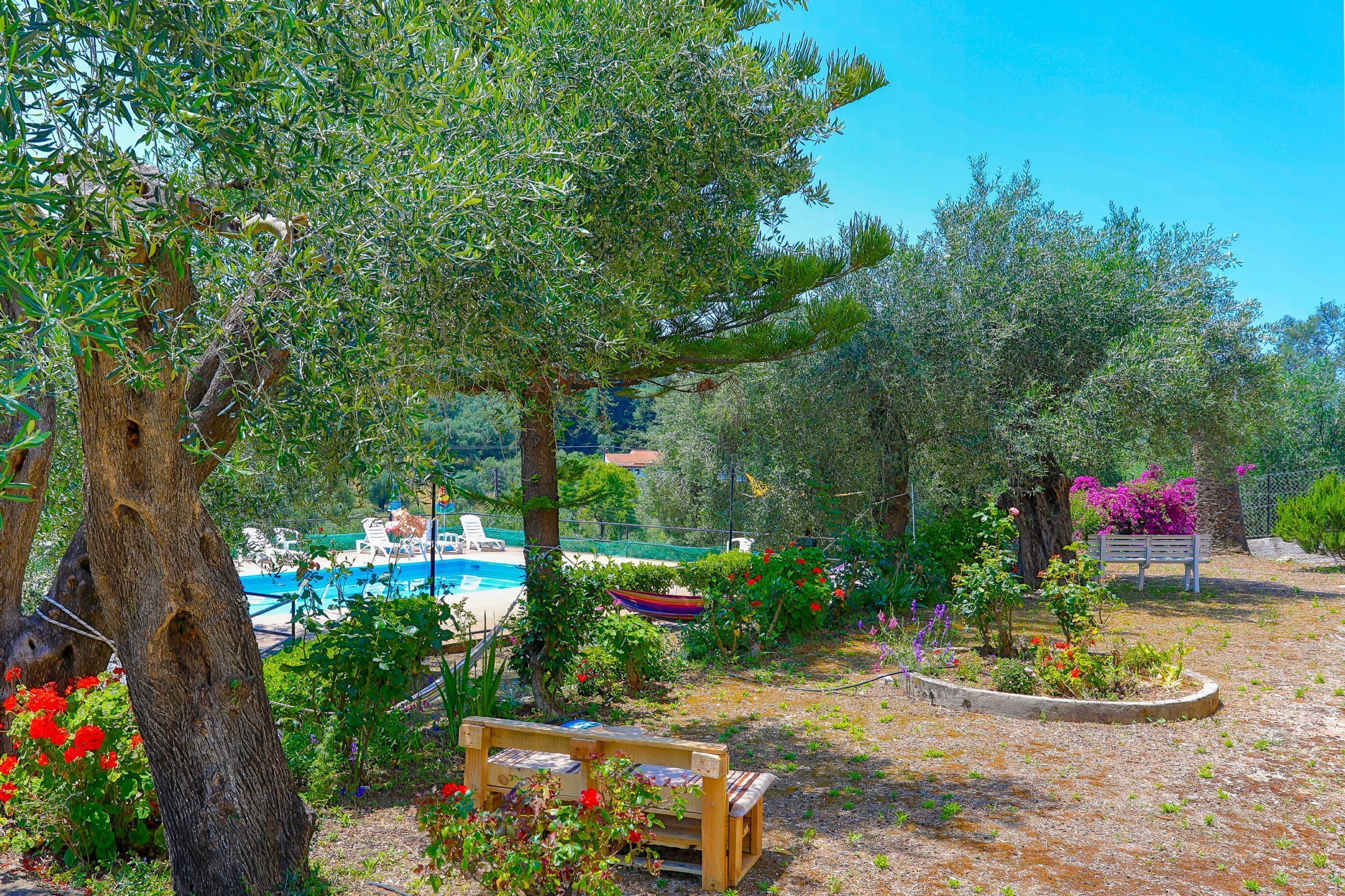 A pool area with a wooden bench and a boat, surrounded by trees and flowers.