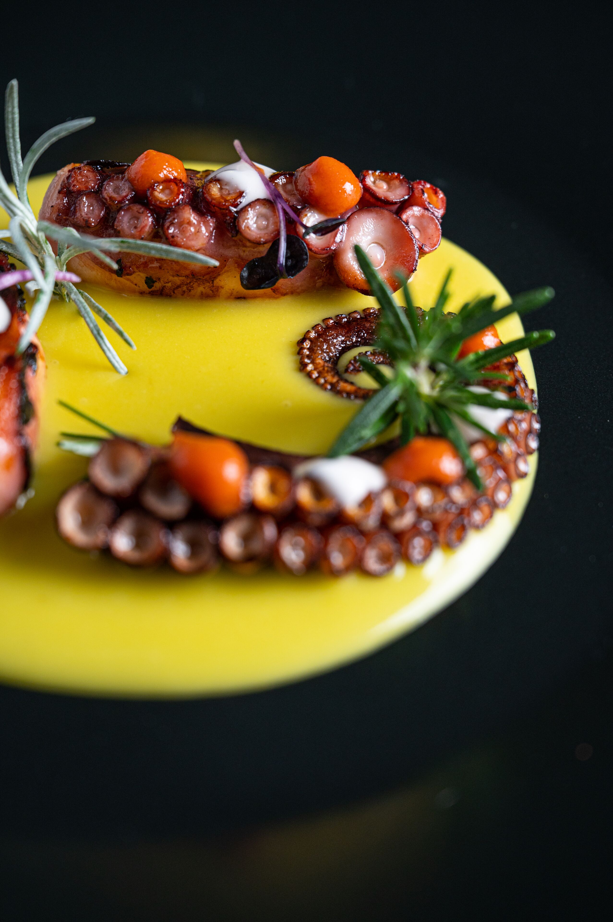 Foto - Hotel Villa Pandora