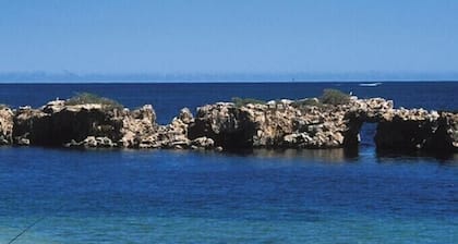 Sharpien Shack Greenhead