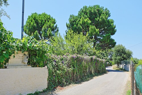 Dalia Apartment: Beautiful gardens, near beach, sleeps 4