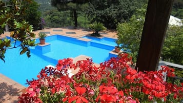 Seasonal outdoor pool, open 10:00 AM to 6:00 PM, sun loungers