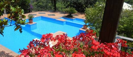 Seasonal outdoor pool, open 10:00 AM to 6:00 PM, sun loungers