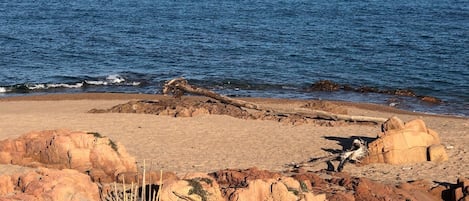 On the beach, sun-loungers