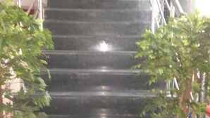 Una escalera con barandillas de metal y plantas en macetas a ambos lados.