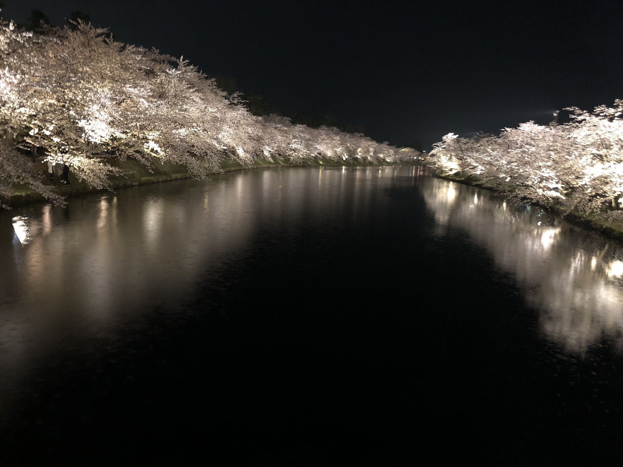 A nighttime view of a river with trees illuminated by lights on both sides.