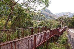 Un pont piétonnier en bois, doté de garde-corps métalliques, entouré d’une végétation luxuriante et avec des montagnes en arrière-plan.