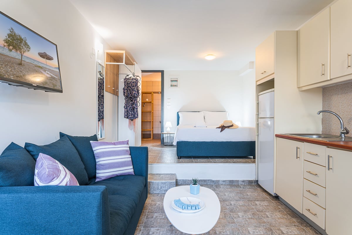 A compact living space with a sofa, a bed, a small kitchen area, and a television displaying a beach scene.