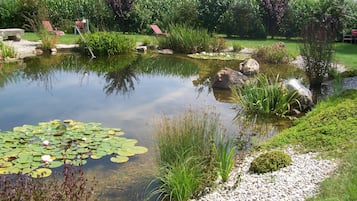 Piscina all'aperto, ombrelloni da piscina, lettini