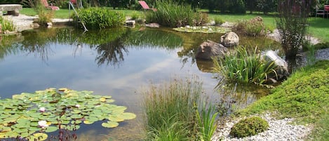 室外游泳池,提供泳池遮陽傘和日光浴躺椅