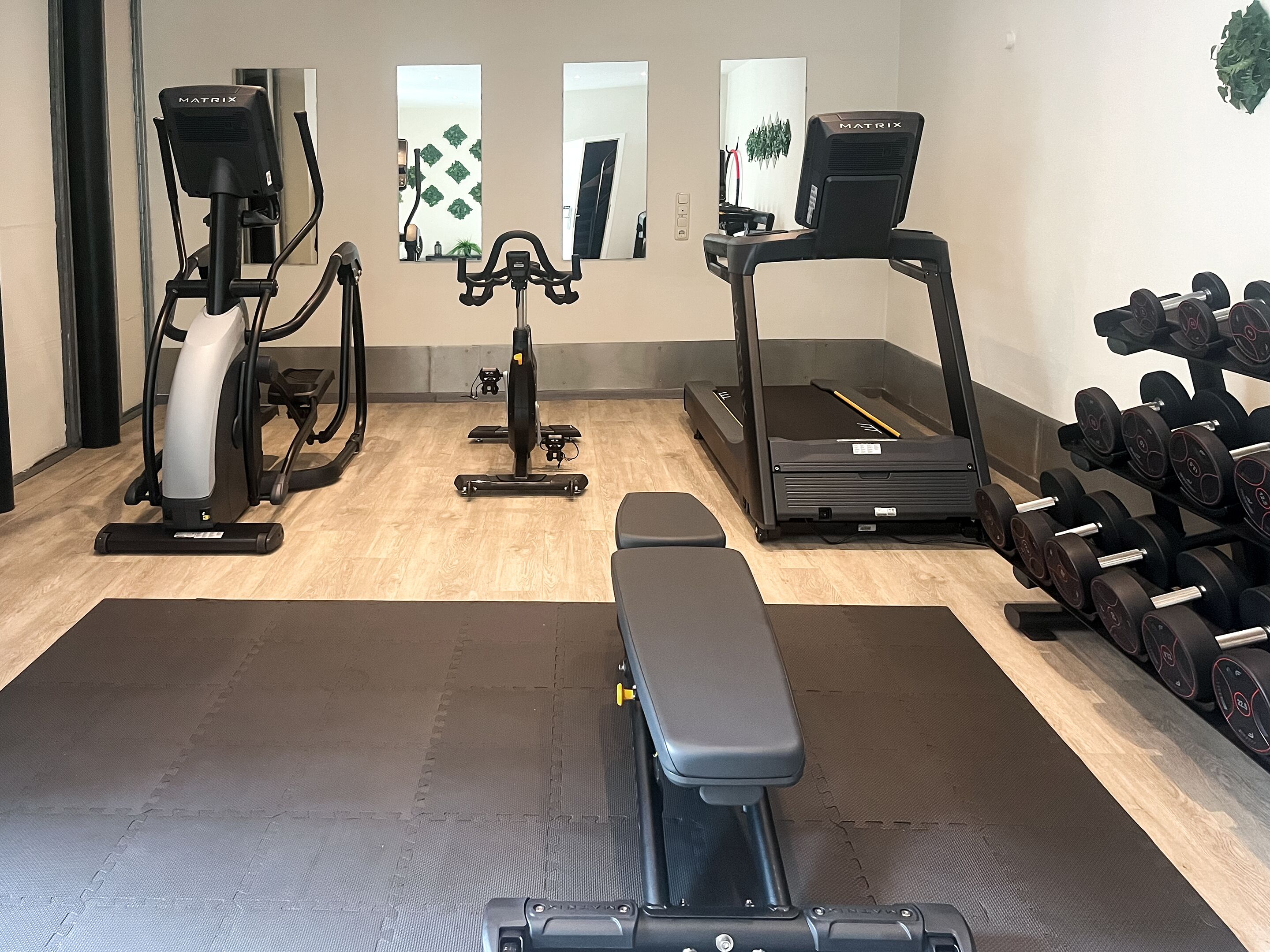 Un gimnasio con equipo cardiovascular, mancuernas y una banca.