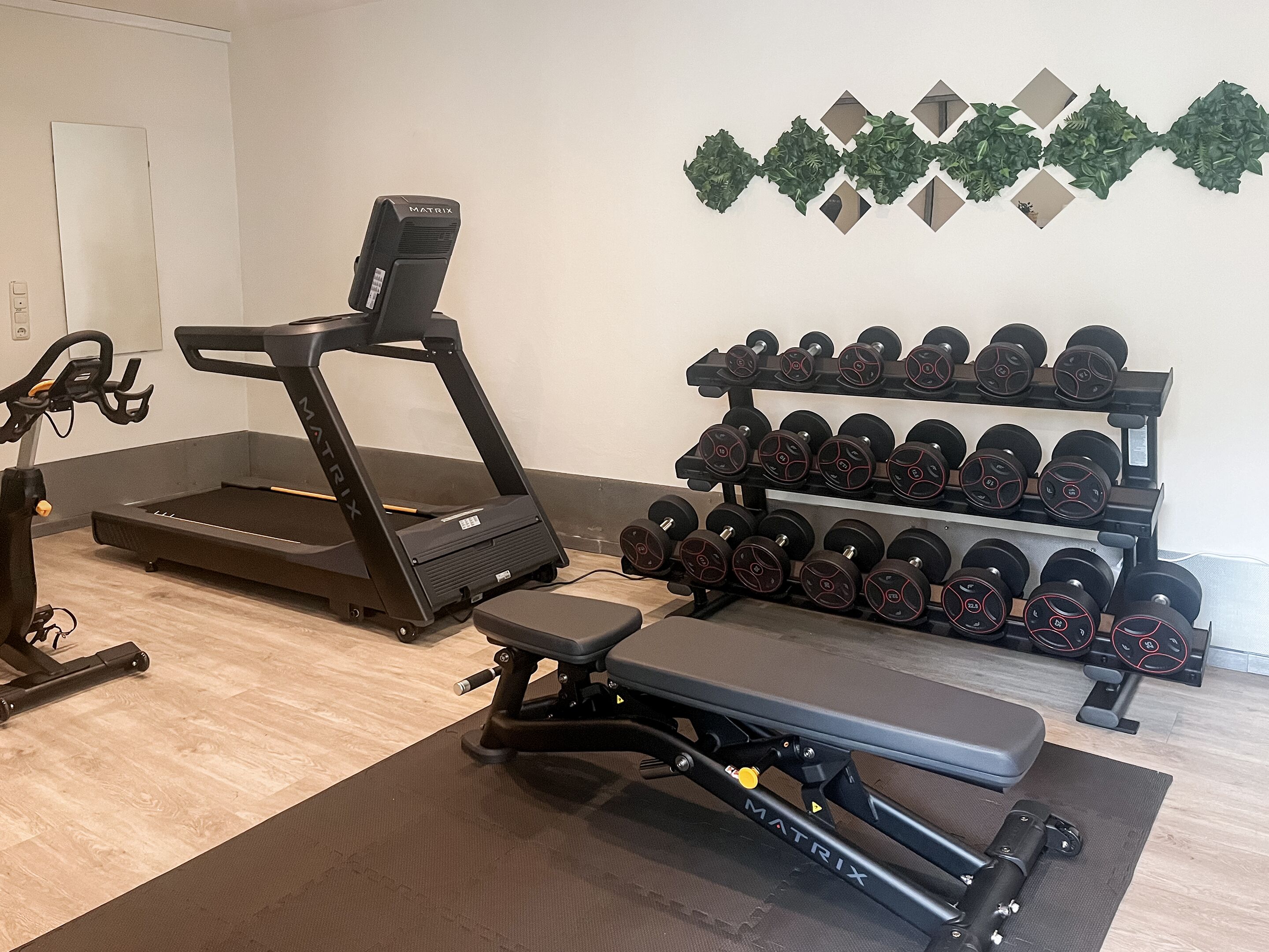 Un gimnasio con cinta de correr, banca para pesas y mancuernas.