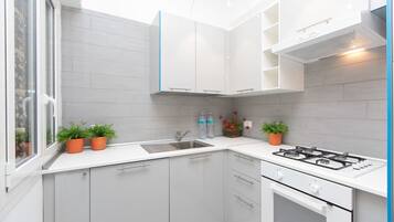 Apartamento | Cozinha privada | Micro-ondas, lava-louças, talheres/pratos/utensílios de cozinha